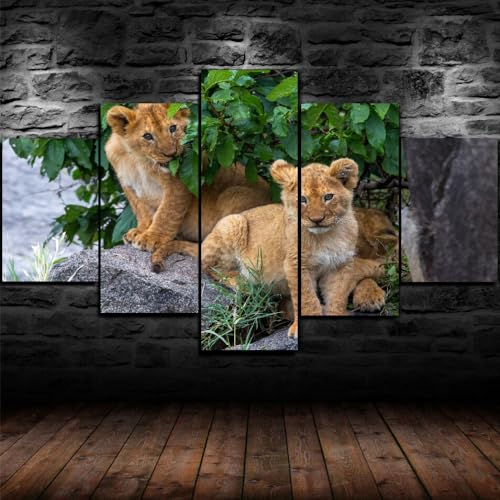 5 morceaux de toile art lion grand tableau xxl salon chic