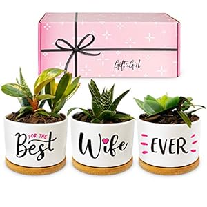 GIFTAGIRL Gifts for Wife from Husband – Perfect Anniversary or Wife’s Birthday Gift Ideas for Her, Our Pretty Best Wife…