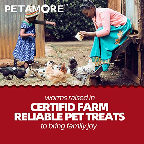 petamore 5lbs Bulk Protein Treats Alternative to Dried Mealworms for Chickens Non-GMO Dried Black Soldier Fly Larvae for… - Image 8