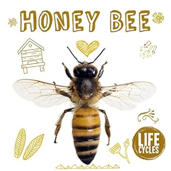 Paperback Honey Bee (Life Cycles) Book
