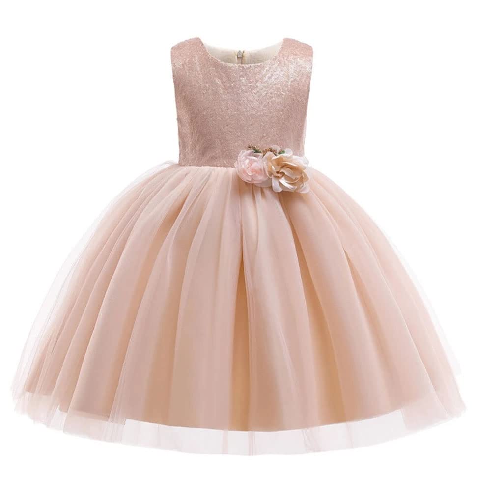 Champagne Flower Wedding Dress Girl Tutu Dress Bll Gown Dresses for Girls Clothing Party Princess Dress (Color : A, Size : 24M)