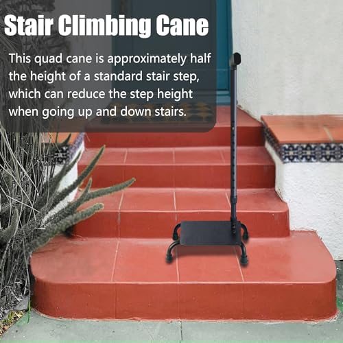 Stair Climbing Cane Pro