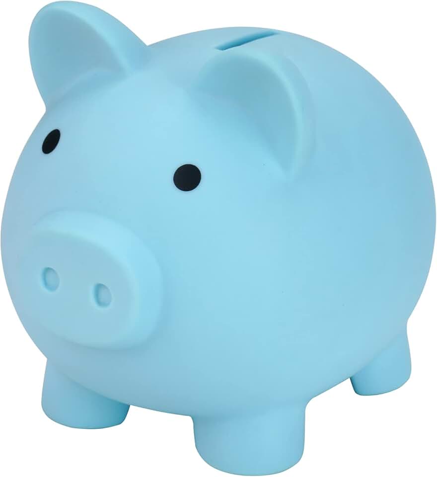 Amazon.ca piggy banks