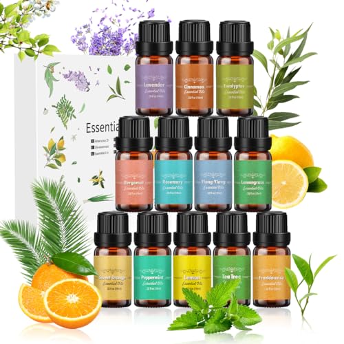 Aulaya Ätherische Öle Set 12 x 10 ml