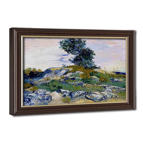 Vincent Van Gogh poster toile The Rocks cadre à suspendre 20x30 décoration murale chambre