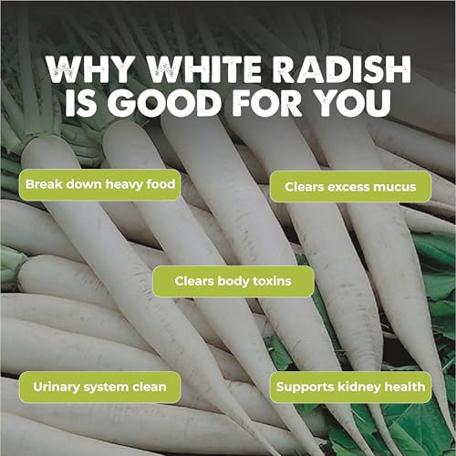 Image of White Raddish (Safed Mooli) (500 Seeds) Vegetable Seeds for Home Garden, Organic & Hybrid, Perfect for Home Gardening, Planting For Pots and Patio
