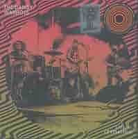 THE DANDY WARHOLS レコード　アナログ盤　2LP The Dandy Warhols - Live at Levitation (RSD Version