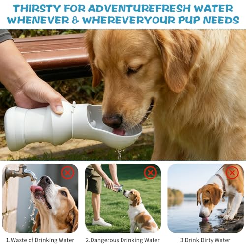 Trinkflasche für Hunde unterwegs 550ml, Mobile Wasserflasche für Hunde, Hundetrinkflasche, Hundeflasche to go, Dog Water Bottle mit klappbarer Trinkschale für Spaziergänge und Reisen