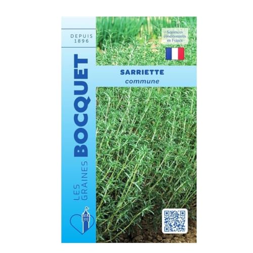 Sachet de graines de Sarriette Commune - 0,5 g - légume feuille - LES GRAINES BOCQUET
