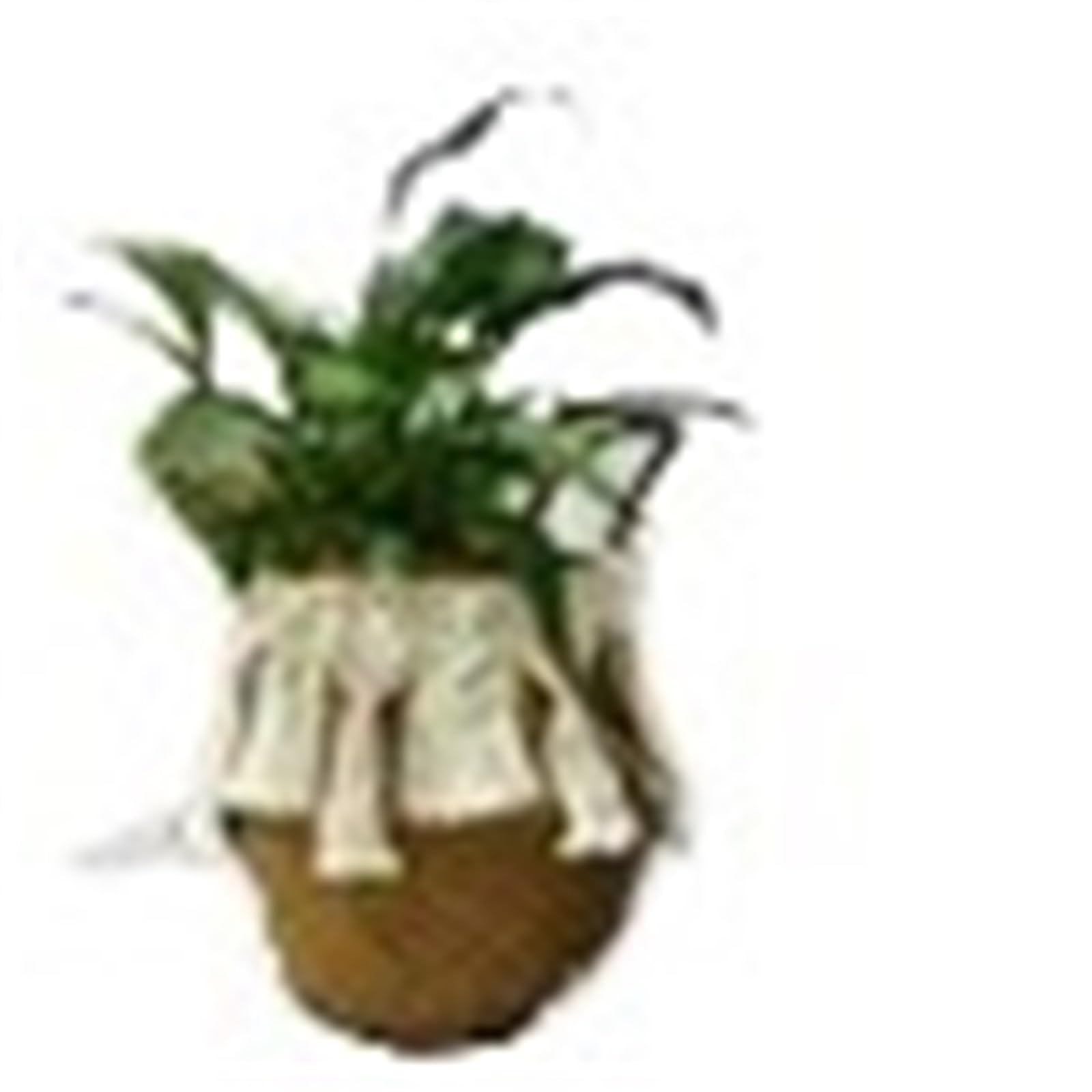 JFNKLFG Woven Plant Pot 3pcs Wicker Basket Woven Seagrass For Plant Pot Organizer Laundry Picnic(BY115-triangle,22x20cm)