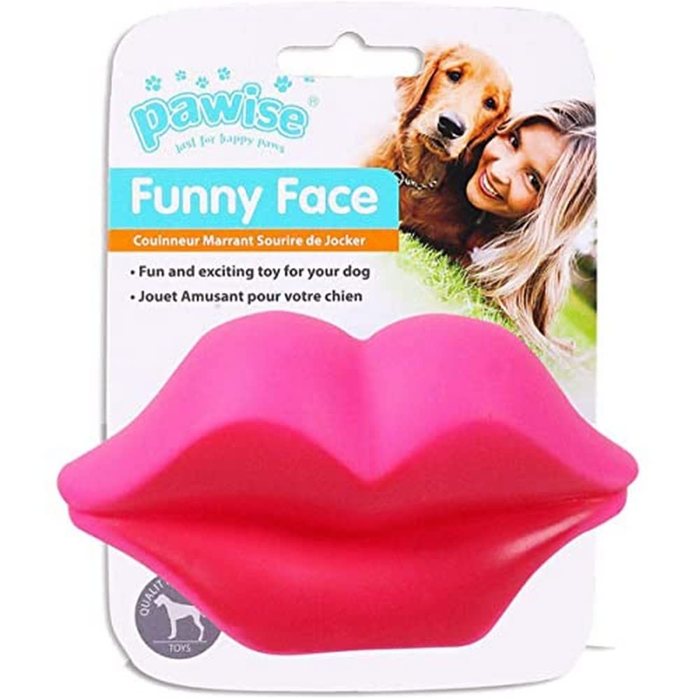Fluval Pawise Vinyl Toy-Lip Köpek Oyuncağı
