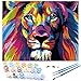 RIHE Senza Telaio, Dipingi con i Numeri della Pittura a Olio Fai da Te Colourful Leone Tela Stampa della Parete di Arte della Decorazione della casa