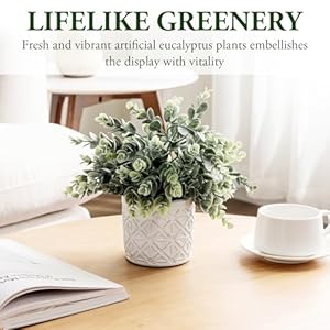 MyGift Artificial Eucalyptus Boxwood Plant in Modern White Concrete Pot with Geometric Embossed Pattern, Faux Greenery Potted in Decorative Round Planter MyGift Artificial Eucalyptus Boxwood Plant in Modern White Concrete Pot with Geometric Embossed Pattern Faux Greenery Potted in Decorative Round Planter