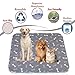 Puppy Pads with pheromones, 2026 Upgraded Washable Puppy Pads for Dogs & Cats, Pee Pad - Leak & Odor Waterproof, Non-Slip Base, Easy to Clean & Reusable (White, L: 31.5