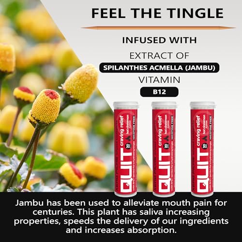 Image of Xero Picks Infused Flavored Toothpicks to Help Quit Smoking - Nicotine Free - 60 Picks (3 Packs) (Hot Cinnamon) Non-GMO Kosher Vegan