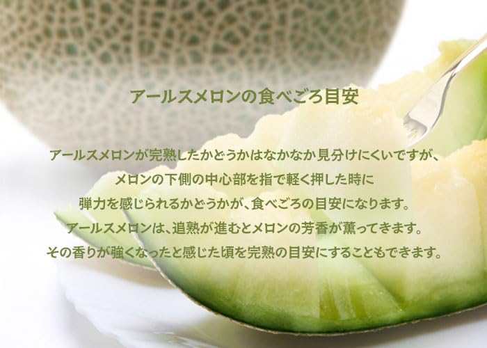 Amazon.co.jp: メロン アールスメロン 秀品 1.4Kg×2玉 静岡県産