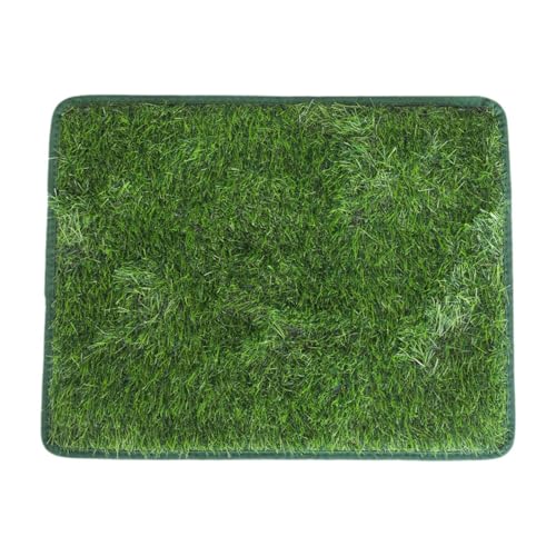 LOL-FUN pgCg[jO}bg ėp\ lHŃO vCyg fbL ETM qL vdl, 40cm×60cm