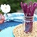 Red Vines Licorice, Grape Flavor Twists, Soft & Chewy Candy, 5oz Trays (12 pack)
