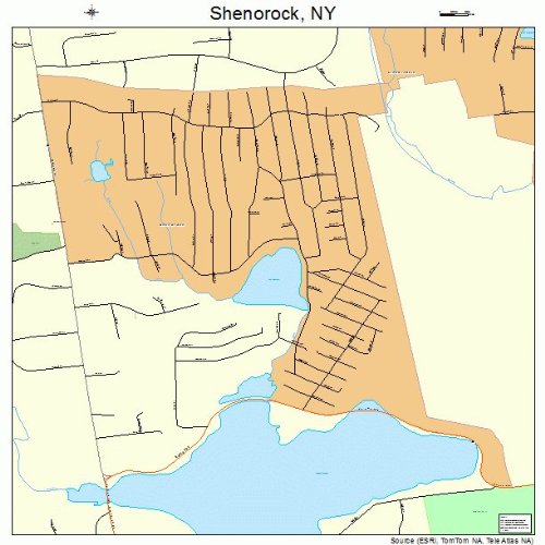 Large Street & Road Map of Shenorock, New York NY Printed poster size