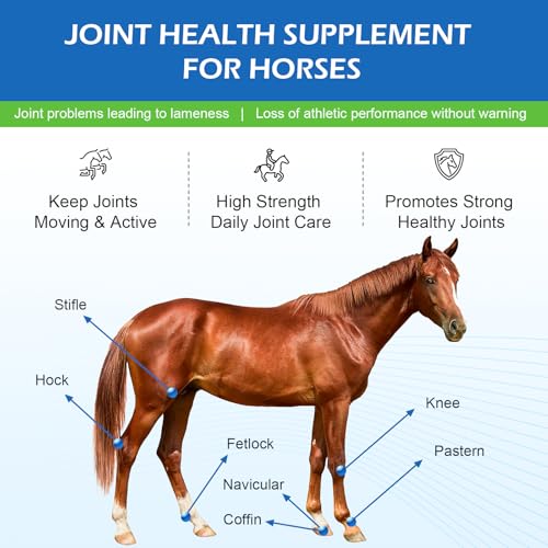 Womrich Joint Health Supplement For Horses Powder - Glucosamine, Msm, Chondroitin Sulfate - Joint Support Supplement For Horses Senior Horse Joint Support Formula thumb #1