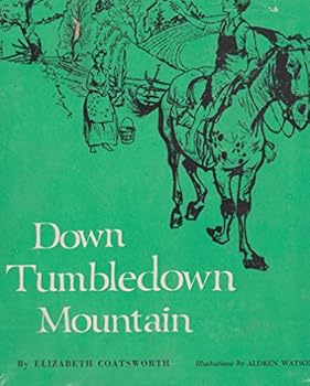 Hardcover Down Tumbledown Mountain Book