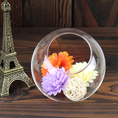 BESPORTBLE Ciotola di Vetro Larghezza Aperta