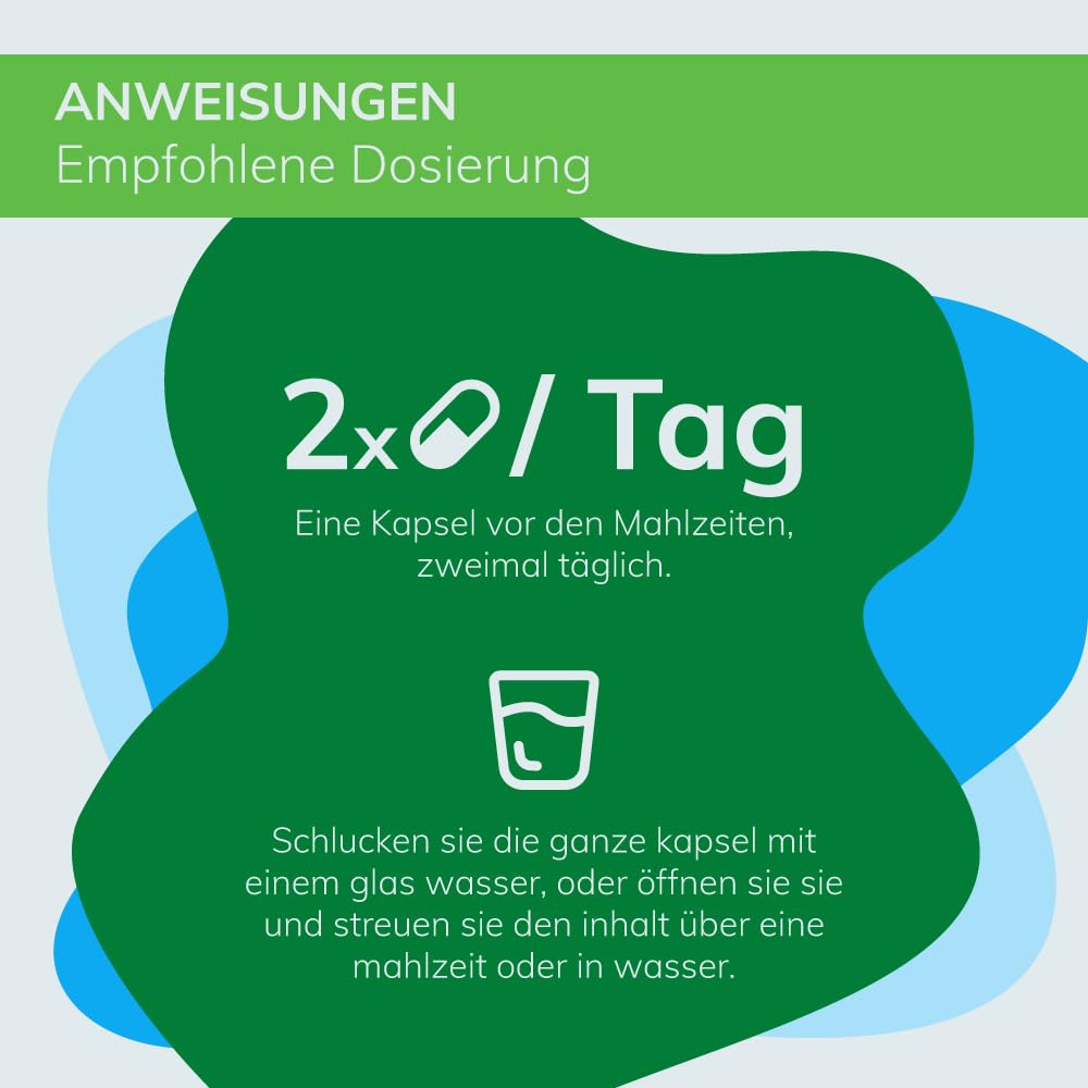 GLUREGUL 60 Kapseln | Natürliche Unterstützung für die Blutzuckerregulierung | Mit Stinktierkohl, Terminalia Arjuna, Medizinischem Ingwer & Zimt | 100% Natürlich, 640mg