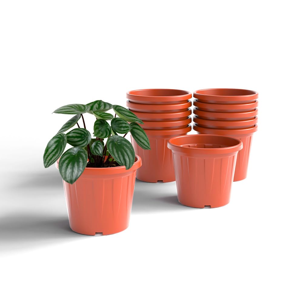 YUCCABE ITALIA 6 Pack White Nursery Planters -22