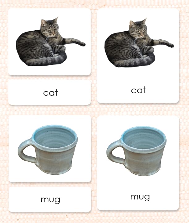 Phonetic Reading Cards Level 1 (5 packets) - Image 4