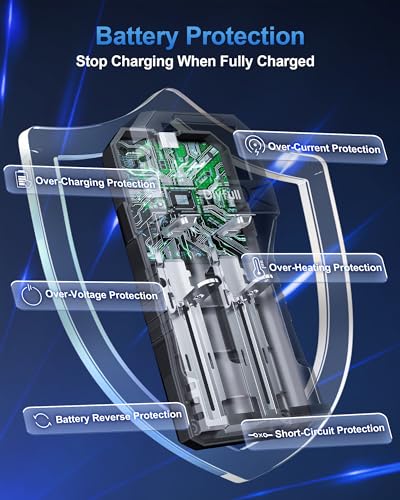 Dlyfull 18650 Battery Charger 2 Bay, LCD Display Lithium Battery Charger with USB-C Speed Charging, Independent Slot for 3.7V Li-ion 21700 26650 10340 16340 17335 17500 22650 Rechargeable Batteries