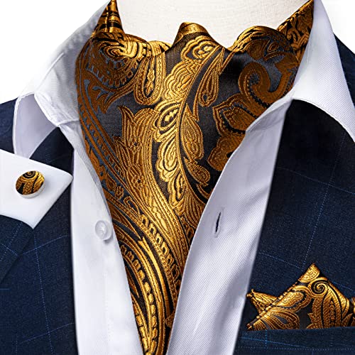 Image of DiBanGu Mens Silk Ascot Ties Paisley Jacquard Woven Cravat and Pocket Square Cufflinks with Lapel Pin for Business Wedding