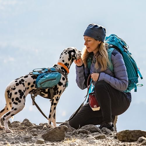 Kurgo Gurtschloss-Hundegurt fürs Auto, Kompatibel mit Tru-Fit Hundegeschirr, Von 38 cm auf 56 cm verlängerbar, Orange