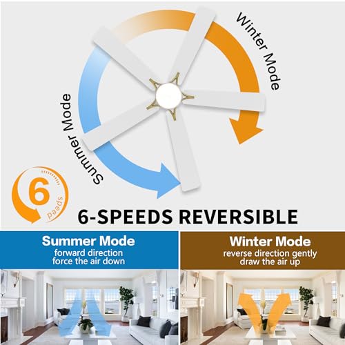 WINGBO 48 DC Flush Mount Ceiling Fan with Lights, 6-Speed Motor, and 3CCT for Living Rooms and Bedrooms, White and Brass