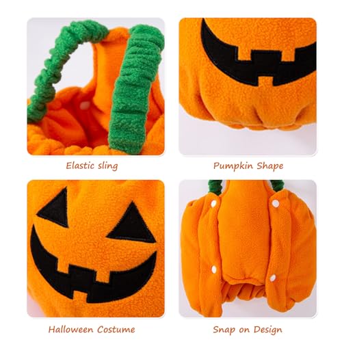 BT Bear Pet Halloween Costume, Pumpkin Coat Dog Halloween Cloak Holiday Dress Up Cosplay Costumes(Pumpkin,XL) - Image 4