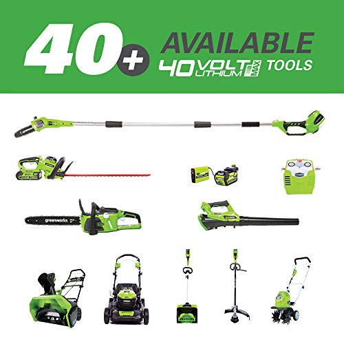 Greenworks 12-Inch 40V Cordless Chainsaw, 2.0 AH Battery and Charger Included 20262