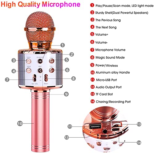 Image of BlueFire Wireless 4 in 1 Bluetooth Karaoke Microphone, Portable Speaker Machine, Handheld Home KTV Player with Record Function for Android & iOS Devices (Pink)
