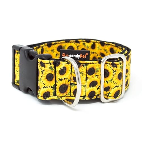 candyPet - Collar Click para Perros, Sunflower