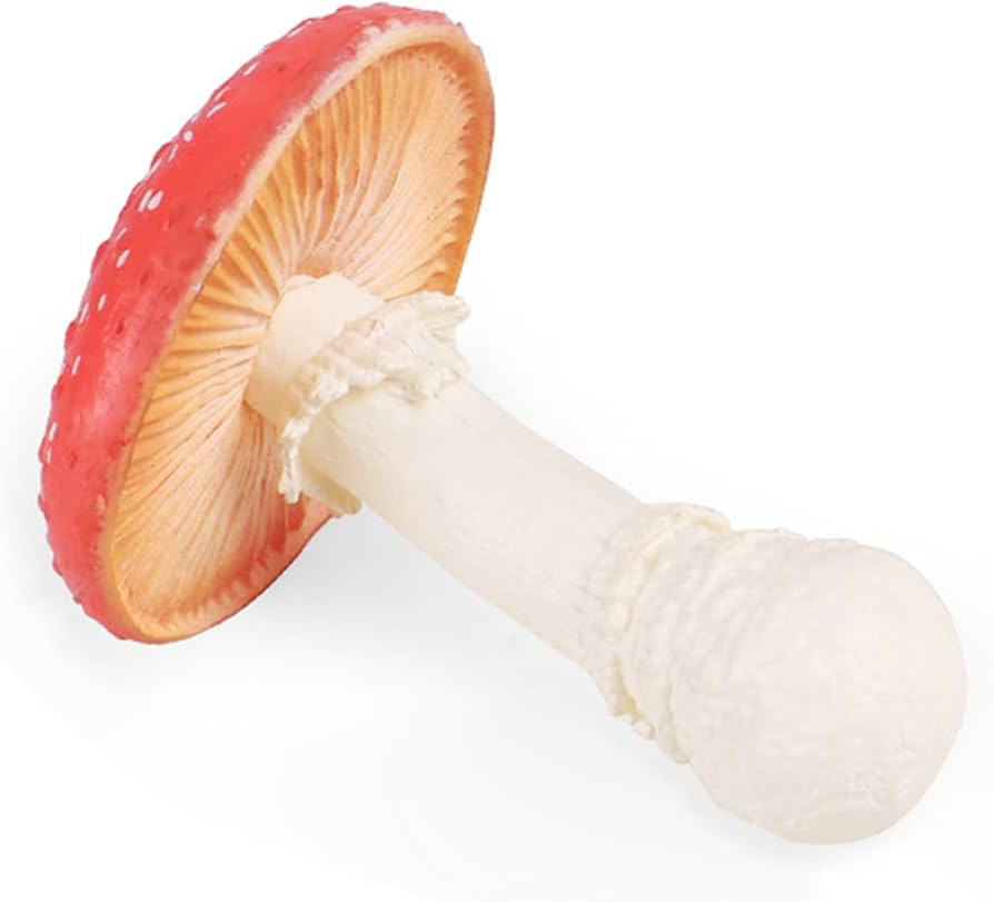 ベニテングタケ　Amanita muscaria キノコ　模型 2つのベニテングタケ（後編） | きのこびと