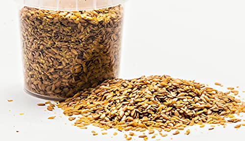 HAPPY HORSE Gastro Gold | Gold-Leinsamen für Pferde | 5kg | Pferdefutter zur ernährungsphysiologischen Unterstützung der Magen‑Darm-Funktion | Reich an Schleimstoffen & Omega‑3‑Fettsäuren