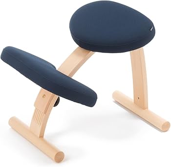 Amazon.co.jp: バランスラボ バランスイージー 通常フレーム