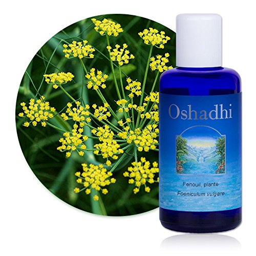 Hydrolat de Fenouil BIO apaiser le regard et purifier la peau