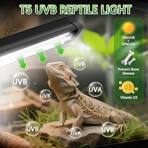 Image of QZQ T5 UVB Reptile Light Fixture Combo Kit 24W, 10.0 UVB Light for Reptiles, Terrarium Hood Comes with Desert Reptile Lamp for Bearded Dragon, Gecko, Tortoise, Lizard
