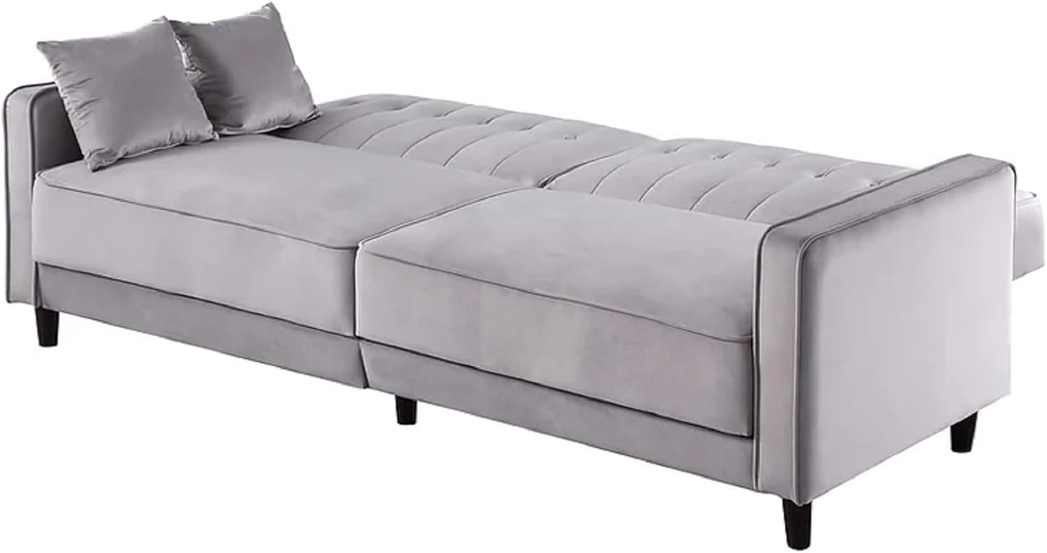 Altena Grey 2-Piece Living Room Sleeper Sofa Bed Set in Fabric