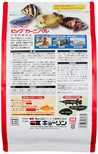 ブラックアロワナとは 魅力的な古代魚の特徴や飼育方法を詳しく解説 暮らし の