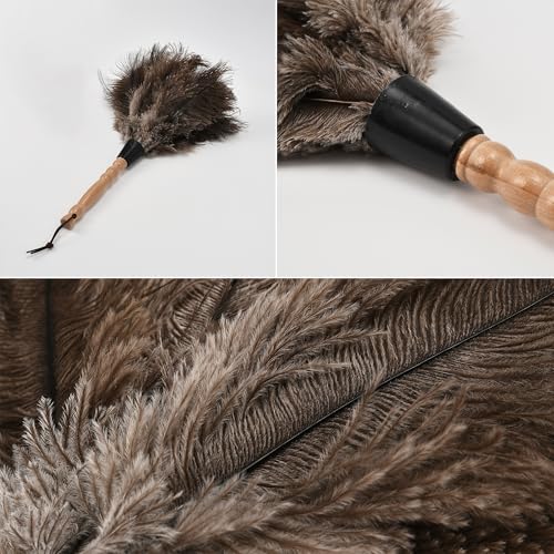 Image of Ostrich Feather Duster 13.39 inch Premium Feather Duster with Wooden Handle Delicate Surfaces Cleaning Supplies for Car Home Office