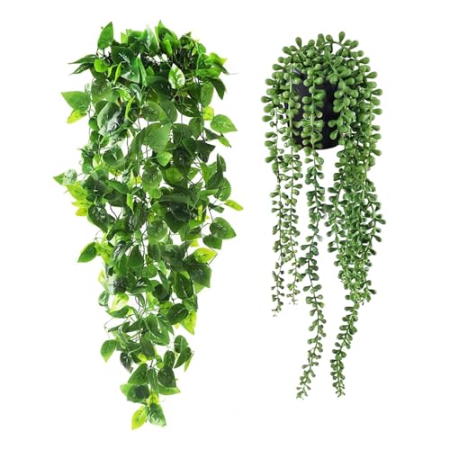 Ekhasa Nostrae Hanging Artificial Plants with Pot (Set of 2) | Mo...