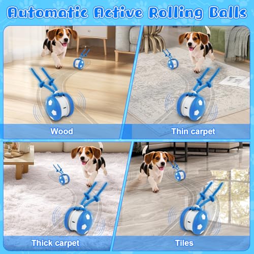 Pipihome Interaktives Hundespielzeug, Interaktiver Spielball für Hunde, Hundespielzeug Intelligenz Hundeball mit Schwanz, Hunde Ball Dog Toys für Hunde Kleine, Mittlere, Große