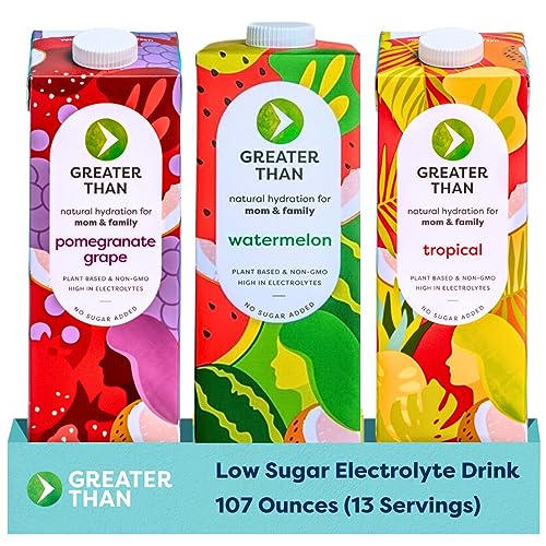 Image of Greater Than Vegan Breastfeeding Support & Breast Milk Supply Aid, Organic Postpartum Nursing Supplement with No Sugar Added, Gluten Free & Keto All Natural, Coconut Water Electrolyte Drink, Variety Sample Pack (3 Pack)