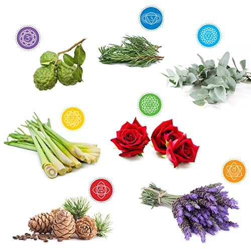 Chakra 7 Essential Oil Blend for Each Chakra. Meditation, Balancing, Healing, Reiki & Yoga. Diffuse, Burner, Spray & Bath. Oils Specially Chosen for Each Body Chakra Point & Blended Beautifully. - Image 5