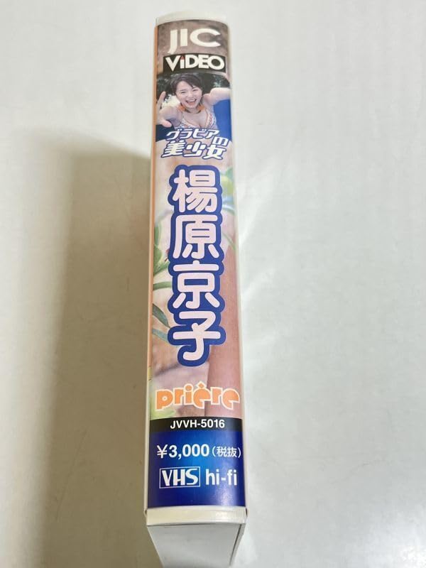 パラパラ　ビデオ　六本木 AREA ほぼフルコンプVHS＋おまけ付き パラパラ ビデオ 六本木 AREA ほぼフルコンプVHS＋おまけ付き